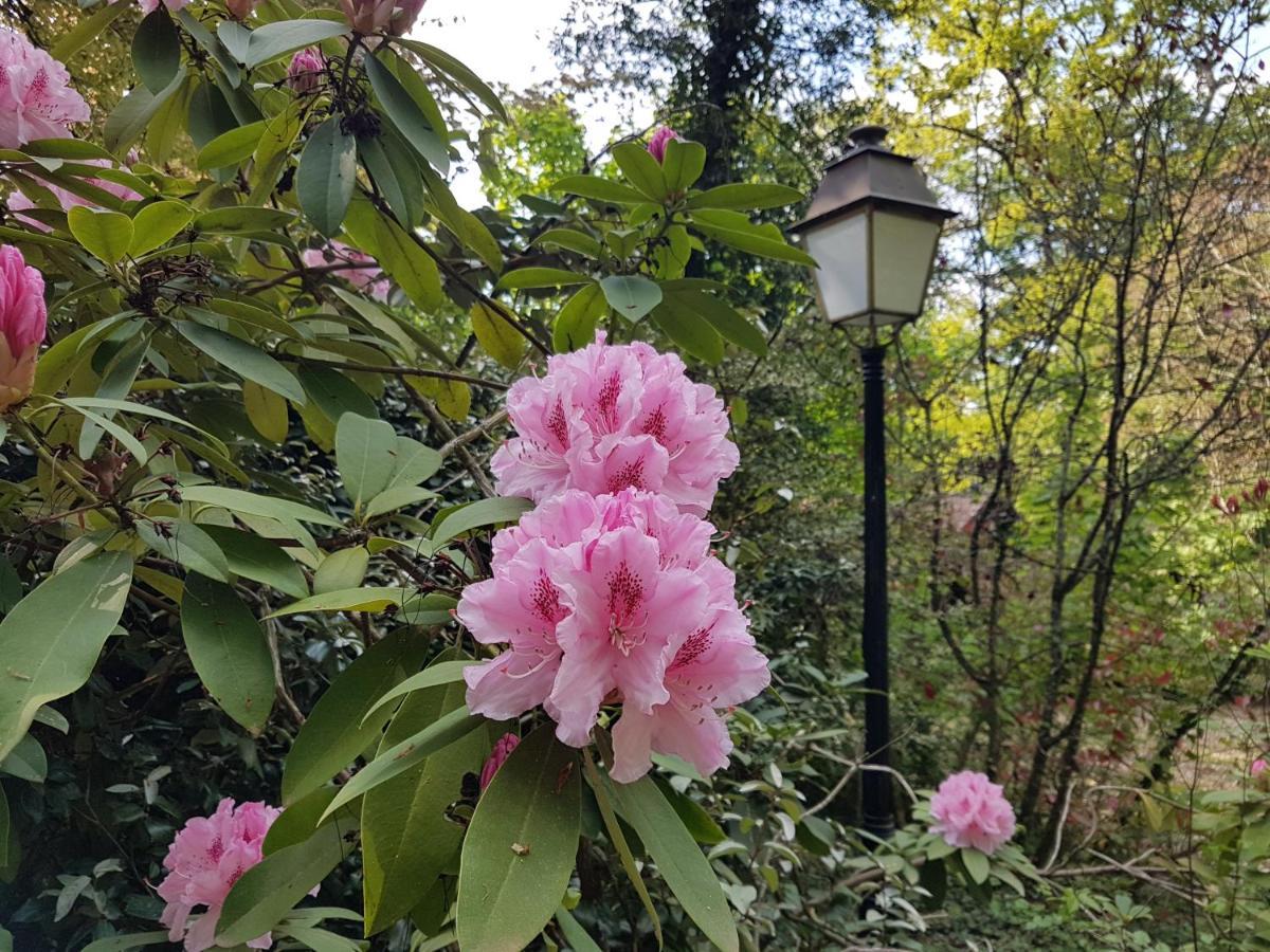 Cluis Chateau De La Rose מראה חיצוני תמונה
